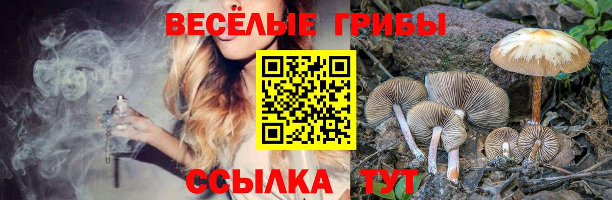 Псилоцибиновые грибы Cubensis  Вход с VPN  Галлюциногенные грибы прущие грибы  Тула 